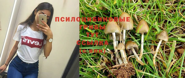 МДПВ Верхнеуральск
