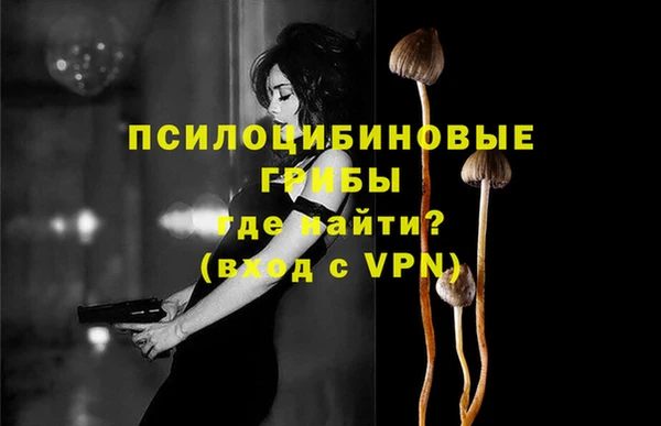 jwh Верхний Тагил