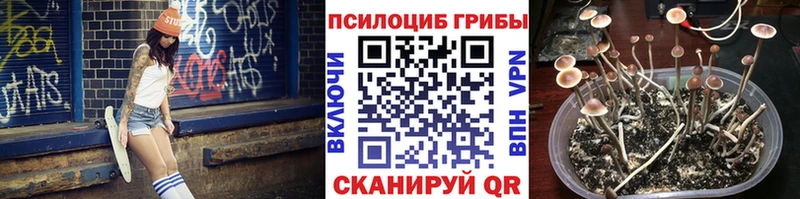 Псилоцибиновые грибы Magic Shrooms Усмань